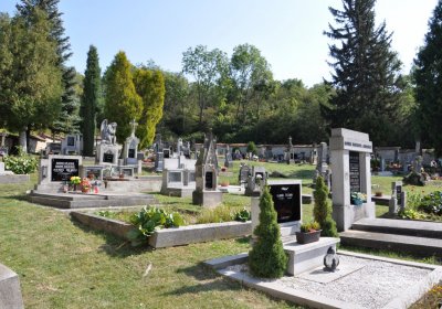 Opočno u Loun, Omnium, 2020