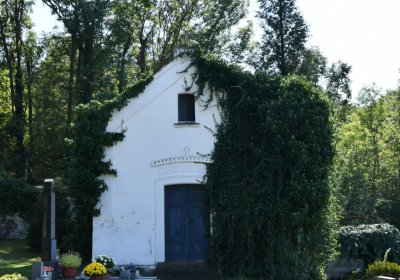 Opočno u Loun, Omnium, 2020