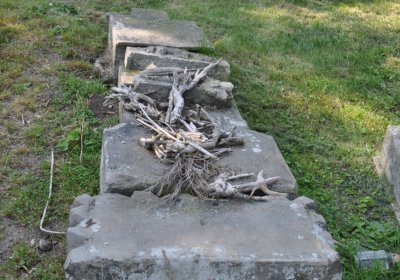 Opočno u Loun, Omnium, 2020