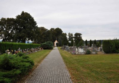 Omnium, 2016