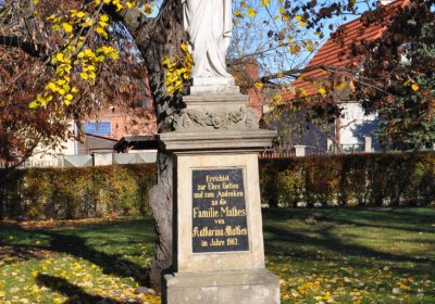 Staňkovice, Omnium, 2020