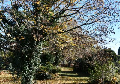 Staňkovice, Omnium, 2020