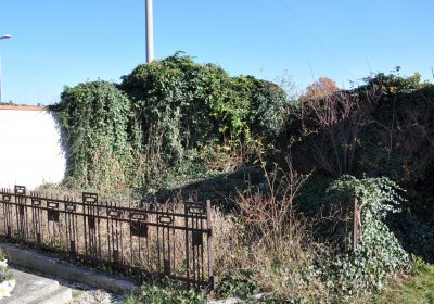 Staňkovice, Omnium, 2020