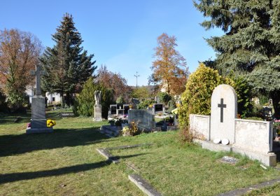 Staňkovice, Omnium, 2020