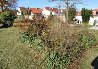 Staňkovice, Omnium, 2020