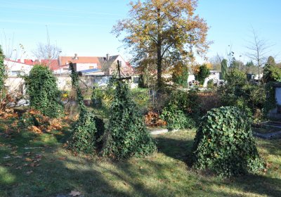 Staňkovice, Omnium, 2020