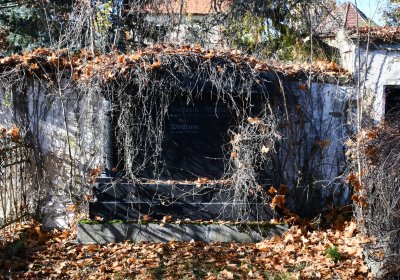 Staňkovice, Omnium, 2020