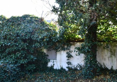 Staňkovice, Omnium, 2020