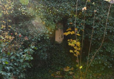 Staňkovice, Omnium, 2020