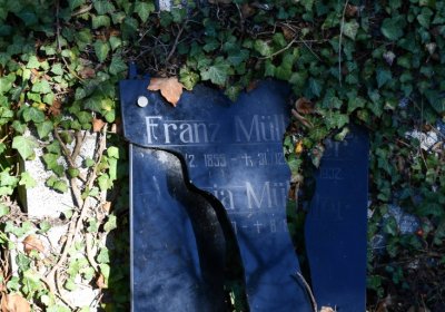 Staňkovice, Omnium, 2020