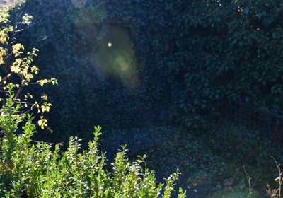 Staňkovice, Omnium, 2020