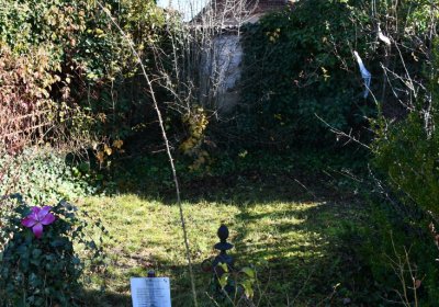 Staňkovice, Omnium, 2020