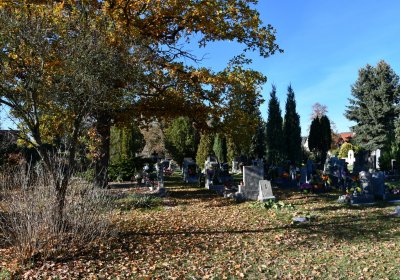 Staňkovice, Omnium, 2020