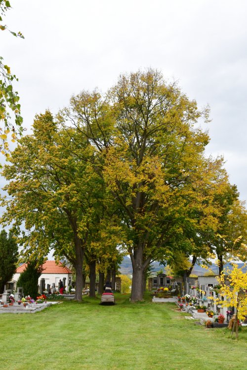 Veltěže