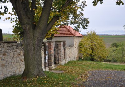 Veltěže, Omnium, 2020