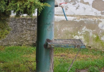 Vinařice obecní, Omnium, 2020