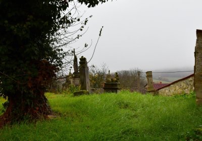 Vinařice u kostela, Omnium, 2020