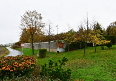 Vršovice 2, Omnium, 2020