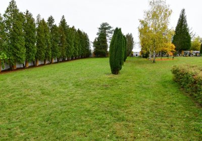 Vršovice u Loun, Omnium, 2020
