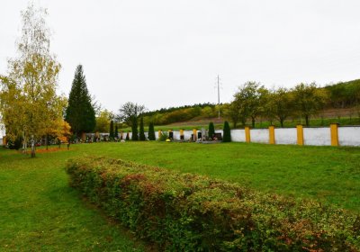 Vršovice u Loun, Omnium, 2020