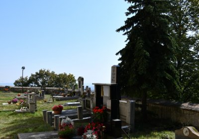 Želkovice, Omnium, 2020