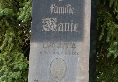 Želkovice, Omnium, 2020