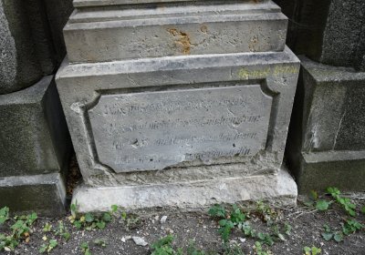 Želkovice, Omnium, 2020