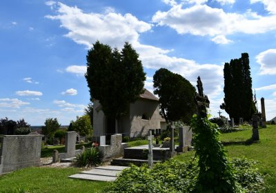Čížkovice, Omnium, 2020