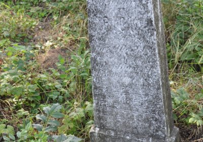 Čížkovice židovský hřbitov, Omnium, 2020