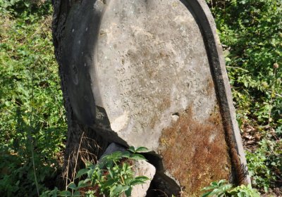 Čížkovice židovský hřbitov, Omnium, 2020