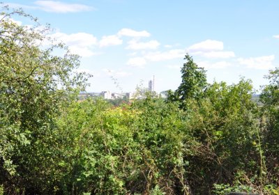 Čížkovice židovský hřbitov, Omnium, 2020