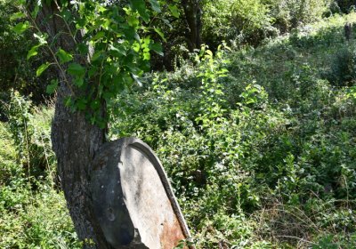 Čížkovice židovský hřbitov, Omnium, 2020