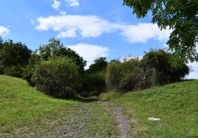 Čížkovice židovský hřbitov, Omnium, 2020