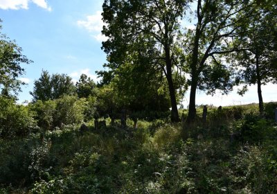 Čížkovice židovský hřbitov, Omnium, 2020