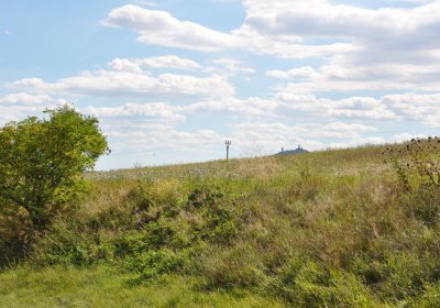 Čížkovice židovský hřbitov, Omnium, 2020