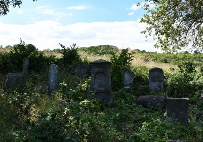 Čížkovice židovský hřbitov, Omnium, 2020