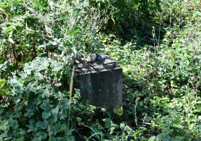 Čížkovice židovský hřbitov, Omnium, 2020