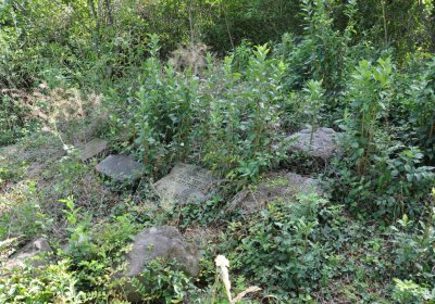 Čížkovice židovský hřbitov, Omnium, 2020