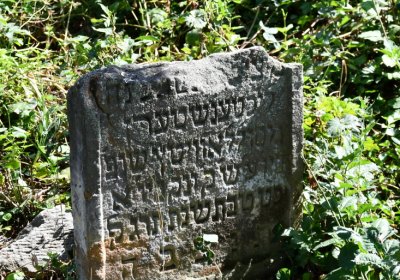 Čížkovice židovský hřbitov, Omnium, 2020