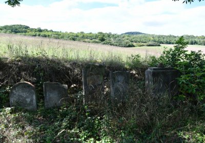 Čížkovice židovský hřbitov, Omnium, 2020