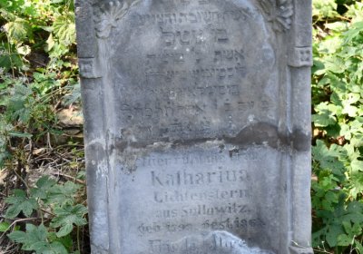 Čížkovice židovský hřbitov, Omnium, 2020