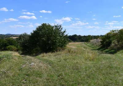 Čížkovice židovský hřbitov, Omnium, 2020