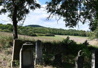 Čížkovice židovský hřbitov, Omnium, 2020