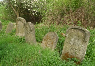 Kmínek Michal, 2020