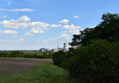 Čížkovice židovský hřbitov, Omnium, 2020