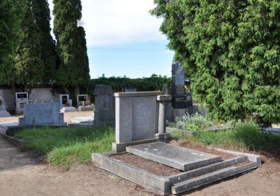 Libkovice pod Řípem, Omnium, 2020