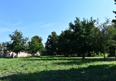 Terezín vojenský zaniklý, Omnium, 2020