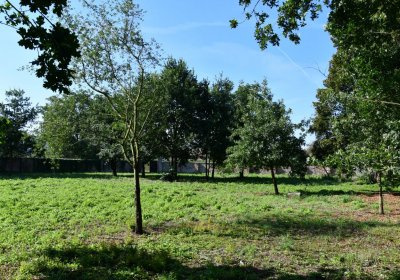 Terezín vojenský zaniklý, Omnium, 2020