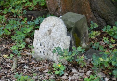 Terezín vojenský zaniklý, Omnium, 2020