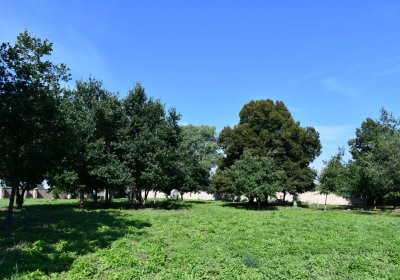 Terezín vojenský zaniklý, Omnium, 2020